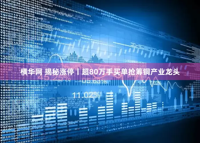 横华网 揭秘涨停丨超80万手买单抢筹铜产业龙头